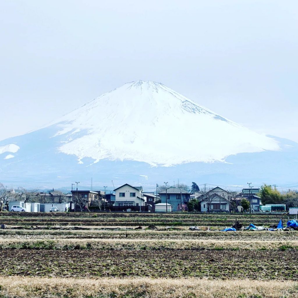 今日の富士山！寒い1日でした〜　冬に逆戻り